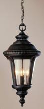  5049 RT - Commons 17" Hanging Lantern